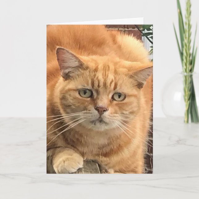 Grumpy Ginger Cat Card (Front)
