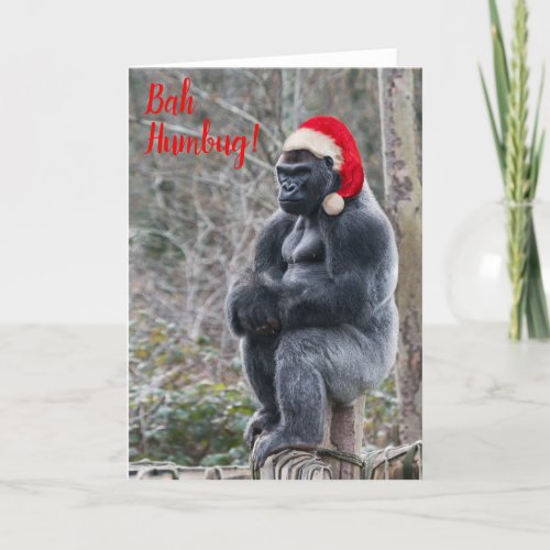 Grumpy gorilla in Santa hat Folded Holiday Card