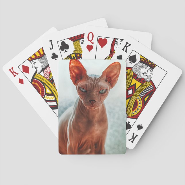 Grumpy Hairless Sphynx Cat Poker Cards (Back)