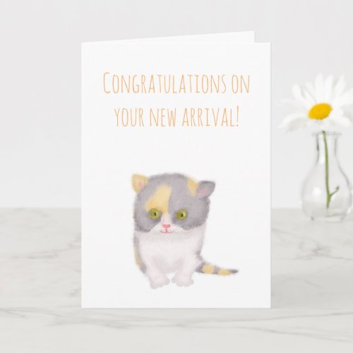 Grumpy Katie new kitten congratulations card