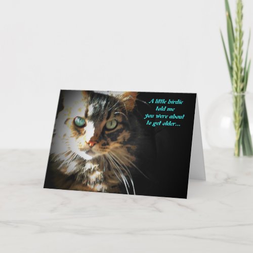 Grumpy Kitty Eats Birdy  birthday card