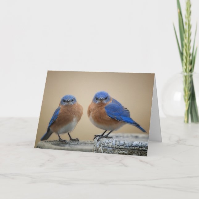 Grumpy little men card (Front)