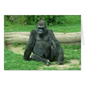 Grumpy Lowland Gorilla (Front Horizontal)