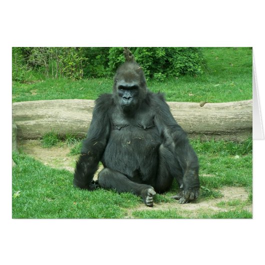 Grumpy Lowland Gorilla Cards (Front Horizontal)