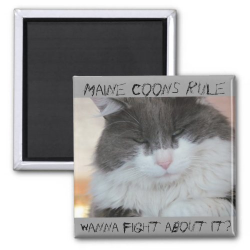 Grumpy Maine Coon Cat Magnet