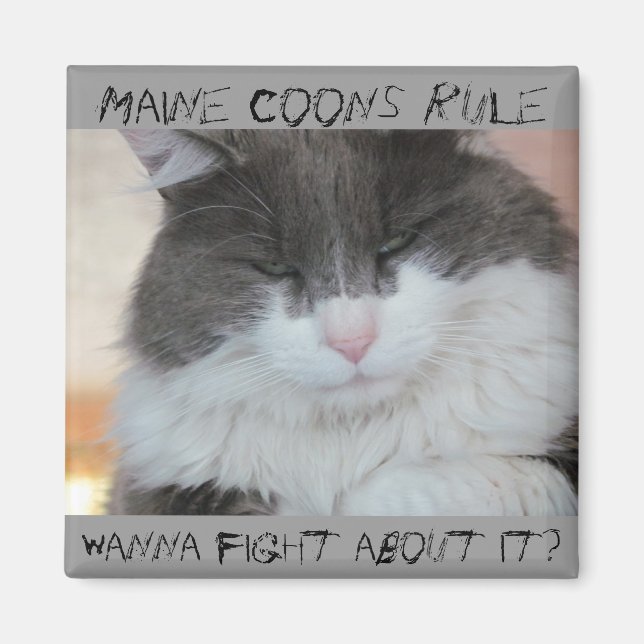Grumpy Maine Coon Cat Magnet (Front)