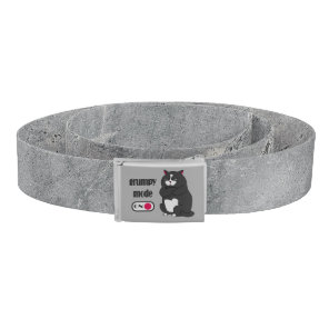 Grumpy mode on funny fat cat  belt