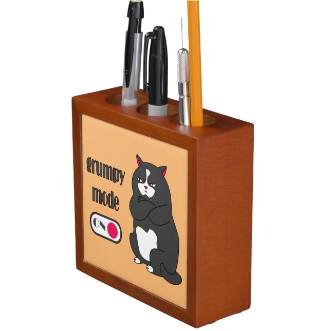 Grumpy mode on funny fat cat  desk organizer (In Situ)