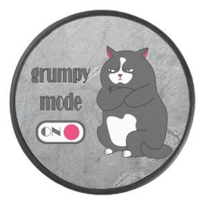 Grumpy mode on funny fat cat   hockey puck