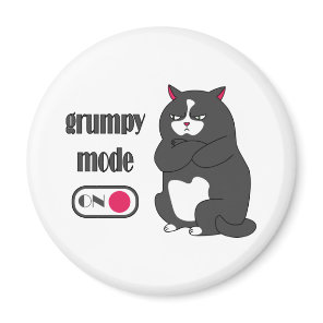 Grumpy mode on funny fat cat  magnet