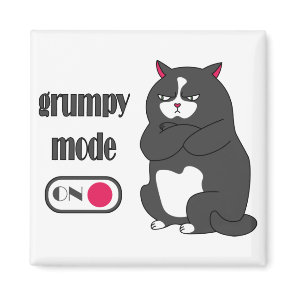 Grumpy mode on funny fat cat  magnet