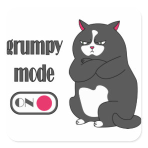 Grumpy mode on funny fat cat  square sticker