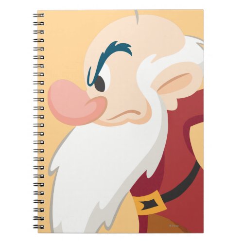 Grumpy Notebook