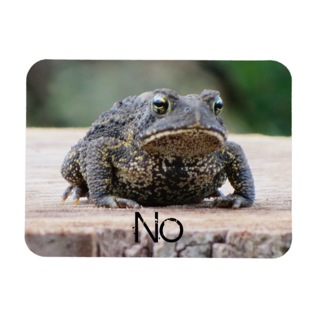 Grumpy Old Toad on a Stump Magnet (Horizontal)