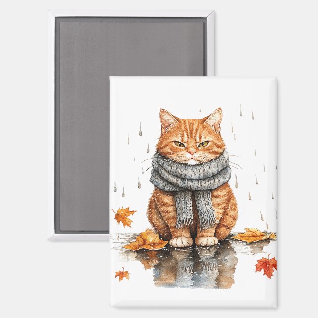 Grumpy Orange Cat in Rain Magnet (Front/Back)