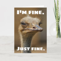 Grumpy Ostrich is Just Fine. What About You?