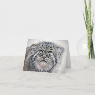 Grumpy Pallas Cat notecard