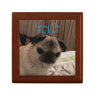 Grumpy Pug Gift  Insert Your pet photo freshner Gift Box