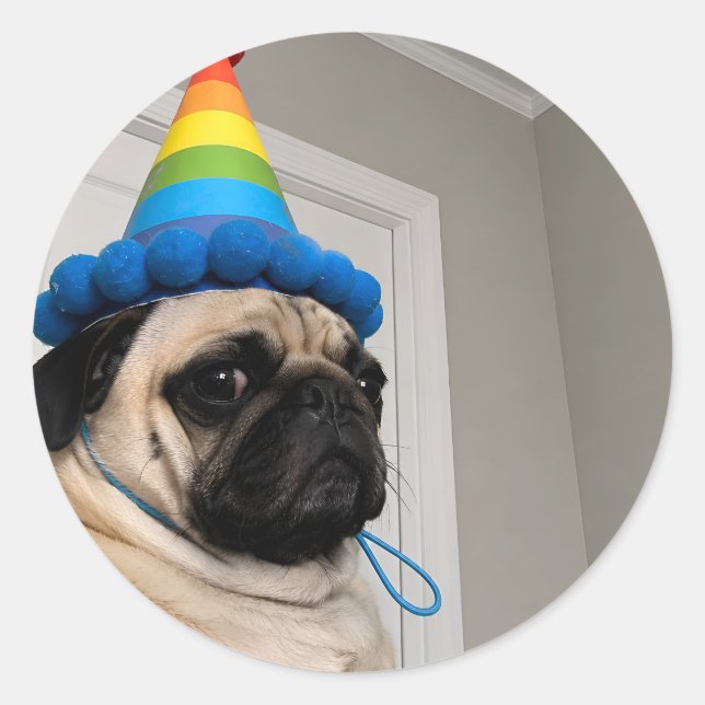 Grumpy Pug Wearing Rainbow Birthday Party Hat Classic Round Sticker (Front)