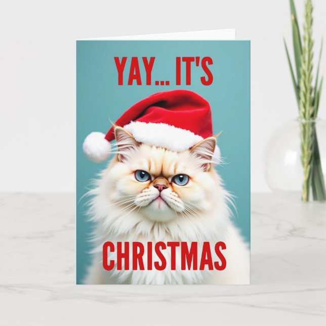 Grumpy Santa Cat Christmas Card (Front)