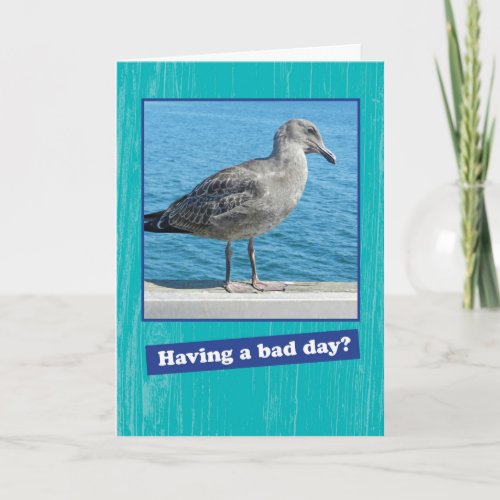 Grumpy Seagull Having a Bad Day Encouragement Card