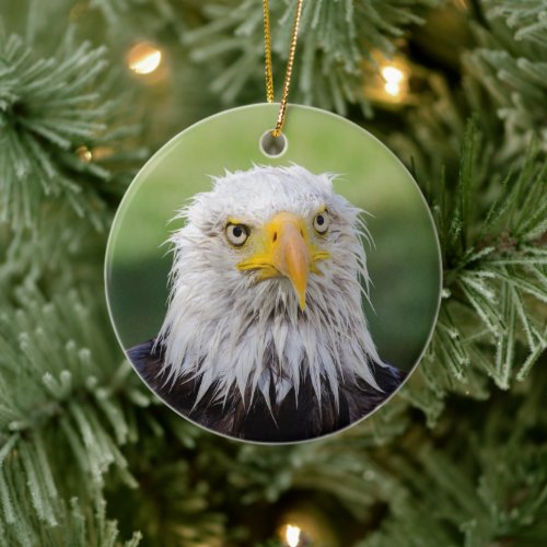 Grumpy  Soggy Bald Eagle Ceramic Ornament