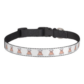 Grumpy Sphynx Cat Cold Humor Cartoon Art Pet Collar