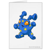 Grundo Starry (Front)