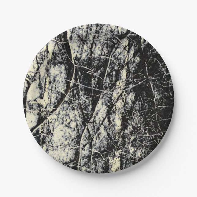 Grunge abstract  paper plates (Front)