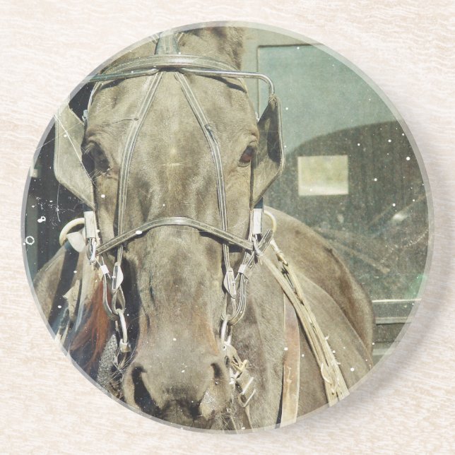 Grunge Amish Buggy Horse Drink Coaster (Front)