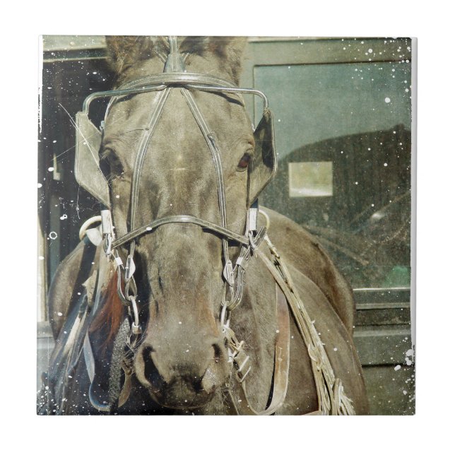 Grunge Amish Buggy Horse Tile (Front)