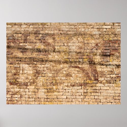 Grunge Brick Wall backdrop Poster