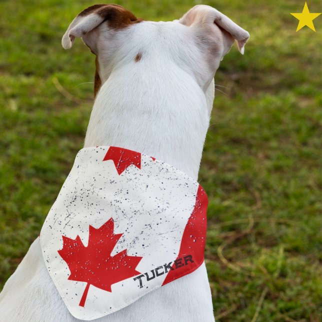 Grunge Canadian Flag Custom Name Pet Bandana (Creator Uploaded)