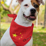 Grunge Chinese China Flag Custom Name Pet Bandana<br><div class="desc">You beloved dog can wear your family's national pride! This grunge style German flag pet bandana is easy to personalize with your dogs name! Black, Red and Yellow bands, your furry family member will certainly stand out in style. There are other flag dog bandanas in this shop, such as U.S.A,...</div>