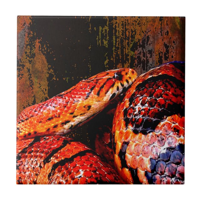 Grunge Corn Snake Coiled Tile (Front)
