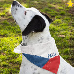 Grunge Czech Republic Flag Custom Name Pet Bandana<br><div class="desc">You beloved dog can wear your family's national pride! This grunge style Czech flag pet bandana is easy to personalize with your dog's name! The white and red horizontal stripes with the blue triangle, your furry family member will certainly stand out in style. There are other flag dog bandanas in...</div>