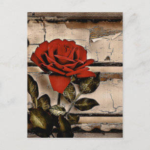 Grunge Distressed Barn Wood Rustic Red Rose Postcard