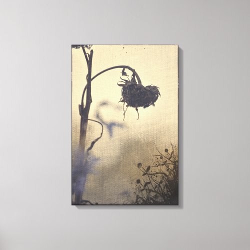 Grunge Distressed Dead Sunflower Decorative Border Canvas Print