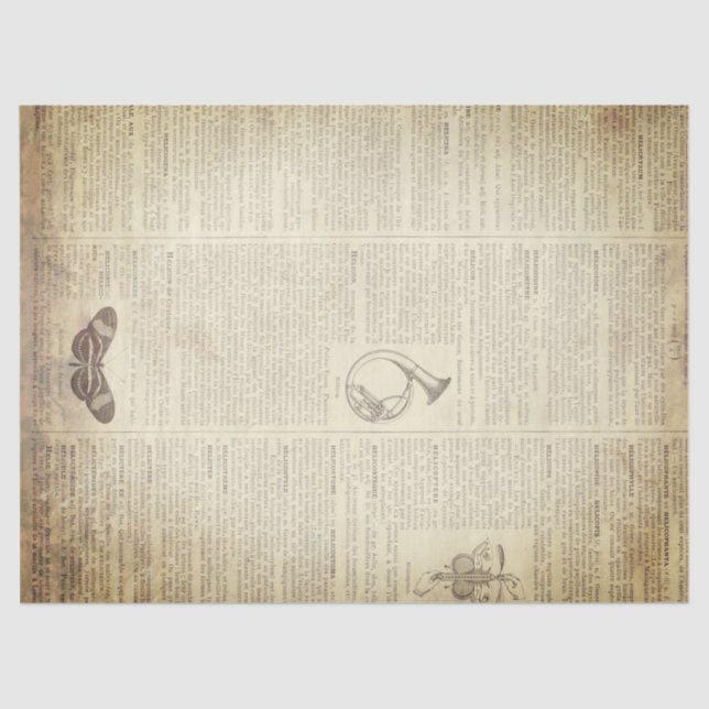 Grunge French Dictionary Page Tissue Paper (Front)