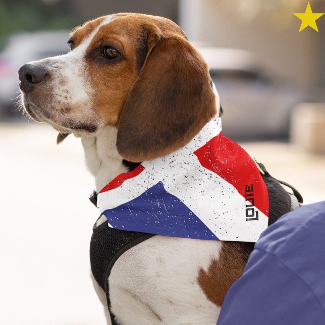 Grunge French France Flag Custom Name Pet Bandana (Creator Uploaded)