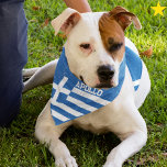 Grunge Greece Greek Flag Custom Name Pet Bandana<br><div class="desc">You beloved dog can wear your family's national pride! This grunge style Greek flag pet bandana is easy to personalize with your dog's name! The blue and white stripes and white cross, your furry family member will certainly stand out in style. There are other flag dog bandanas in this shop,...</div>