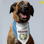 Grunge Guatemala Flag Custom Name Pet Bandana<br><div class="desc">You beloved dog can wear your family's national pride! This grunge style Guatemalan flag pet bandana is easy to personalize with your dogs name! The white and blue color blocks the Coat of Arms in the center, your furry family member will certainly stand out in style. There are other flag...</div>