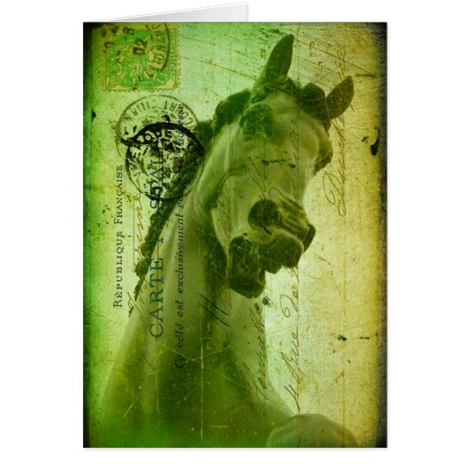 Grunge Horse Postcard-Like Cards (Front)