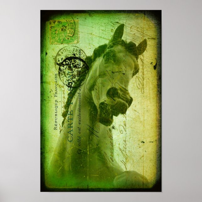 Grunge Horse Postcard-Like Poster (Front)