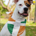 Grunge Irish Ireland Flag Custom Name Pet Bandana<br><div class="desc">You beloved dog can wear your family's national pride! This grunge style Irish flag pet bandana is easy to personalize with your dogs name! Green, white and orange bands, your furry family member will certainly stand out in style. There are other flag dog bandanas in this shop, such as U.S.A,...</div>