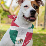 Grunge Mexican Mexico Flag Custom Name Pet Bandana<br><div class="desc">You beloved dog can wear your family's national pride! This grunge style Mexican flag pet bandana is easy to personalize with your dogs name! Green, white and red bands with the national coat of arms in the middle, your furry family member will certainly stand out in style. There are other...</div>