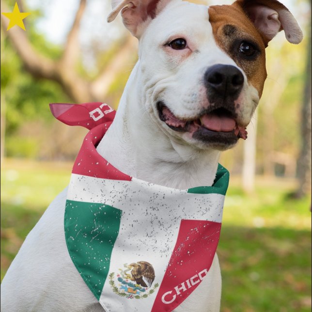 Grunge Mexican Mexico Flag Custom Name Pet Bandana (Creator Uploaded)