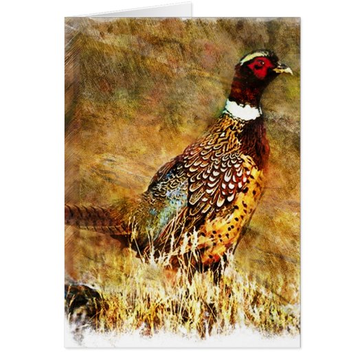 Grunge Phesant (Front)