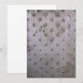 Grunge Steel Sheet with Rivets (Front/Back)