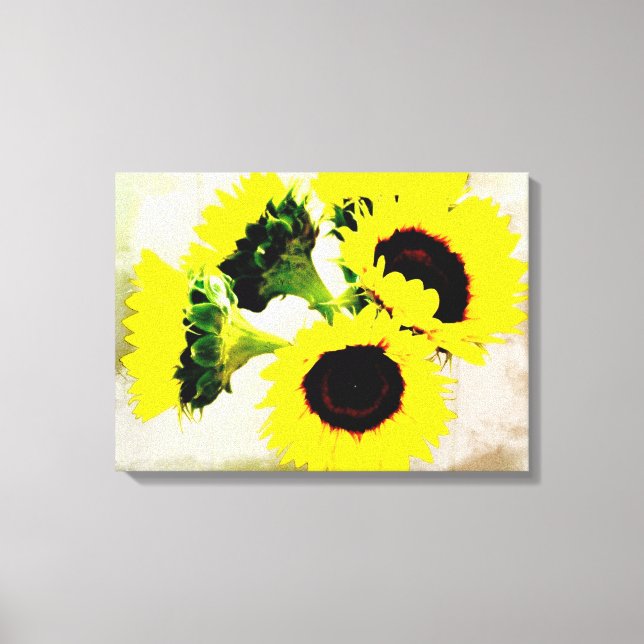 Grunge Sunflowers Canvas Print (Front)